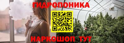 первитин Гай