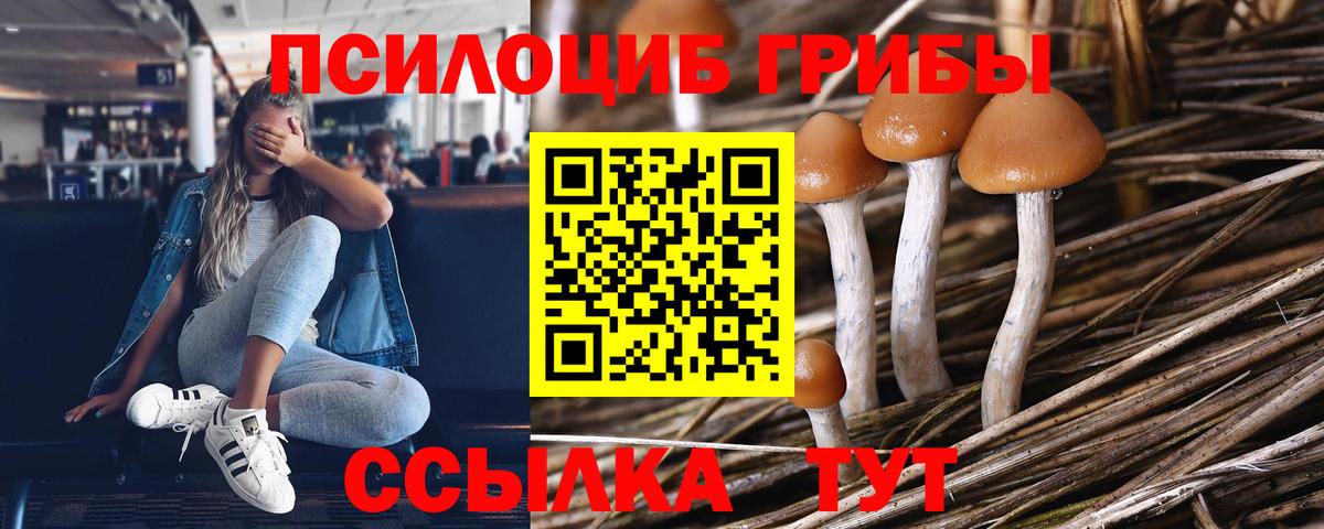 Новошахтинск  Галлюциногенные грибы Psilocybine cubensis  Псилоцибиновые грибы Psilocybe  купить закладку  Вход с VPN 